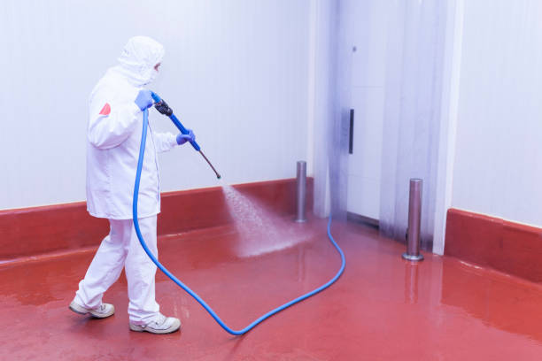 Best Sidewalk and Walkway Cleaning  in West Liberty, IA